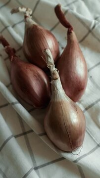Whole echalion banana shallots with dry, papery peel rests tied together on a white grid-patterned kitchen linen. For cooking shows, culinary blogs, recipe tutorials, organic farming promotions.