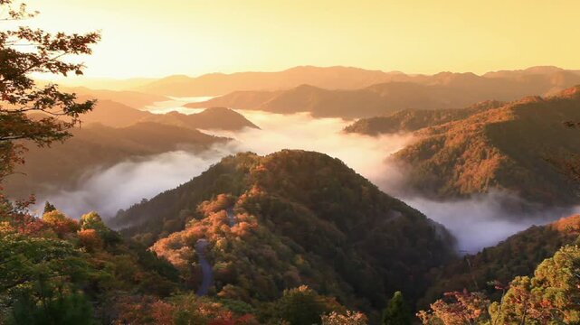 秋のおにゅう峠の雲海