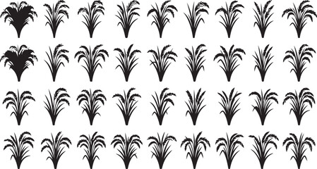 Black and white feather duster illustrations collection © RUMA AKTHER