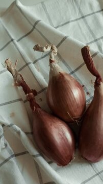 Whole echalion banana shallots with dry, papery peel rests tied together on a white grid-patterned kitchen linen. For cooking shows, culinary blogs, recipe tutorials, organic farming promotions.