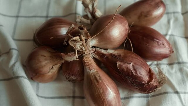 Whole echalion banana shallots with dry, papery peel rests tied together on a white grid-patterned kitchen linen. For cooking shows, culinary blogs, recipe tutorials, organic farming promotions.