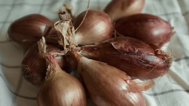 Whole echalion banana shallots with dry, papery peel rests tied together on a white grid-patterned kitchen linen. For cooking shows, culinary blogs, recipe tutorials, organic farming promotions.