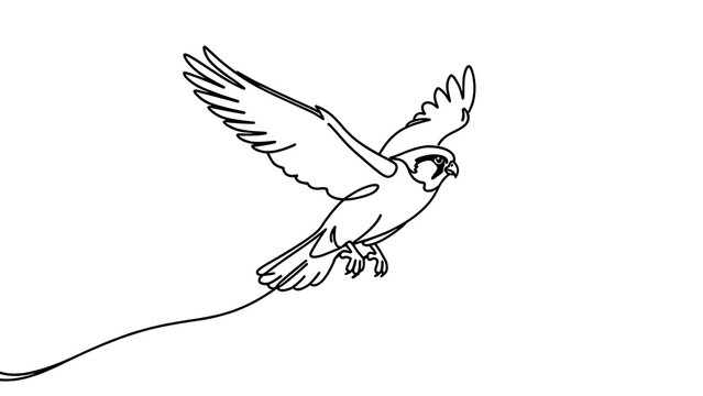 Flying bird illustration on white background.