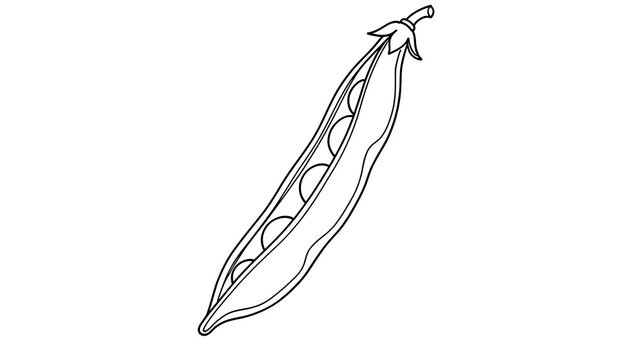 Pea pod line drawing on white background.