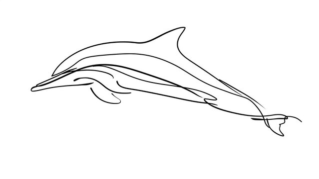 Minimalist dolphin line art white background.