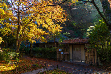 日本の風景・秋　神奈川県鎌倉市　紅葉の明月院　月笑軒 © Yuta1127