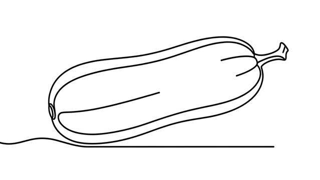 Simple zucchini line drawing on white background.