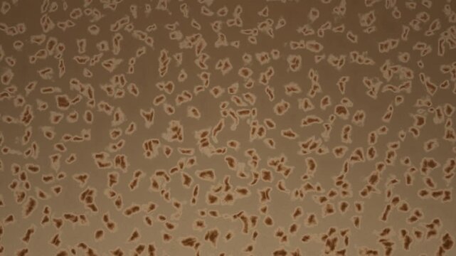 A seamless loop displays a repeating abstract pattern of brown shapes scattered across a solid beige background surface.