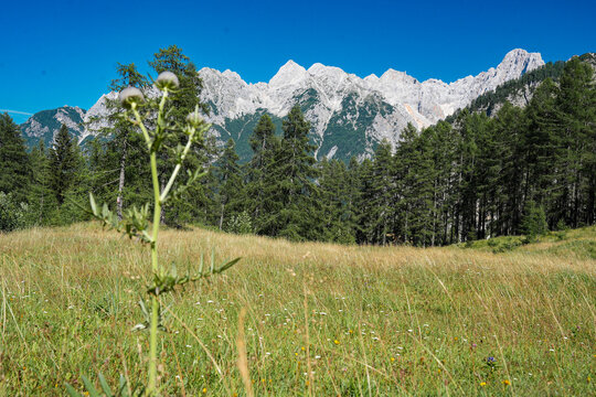 Stunning view on the Vrsic Pass in Triglav National Park, Slovenia, looking towards the rocky Julian Alps mountains with winding alpine road, green slopes and dramatic sky