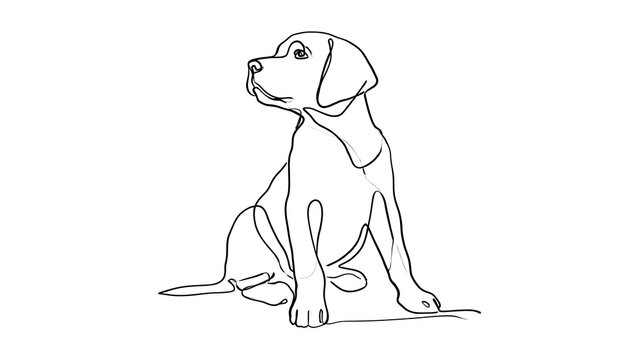 Cute sitting dog illustration white background.