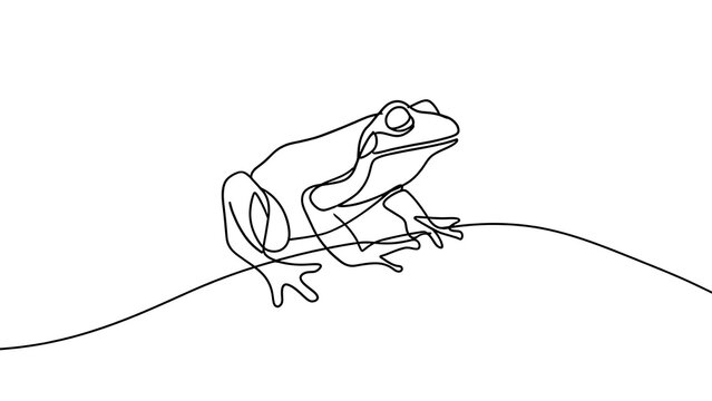 Minimalist frog line art on white background.