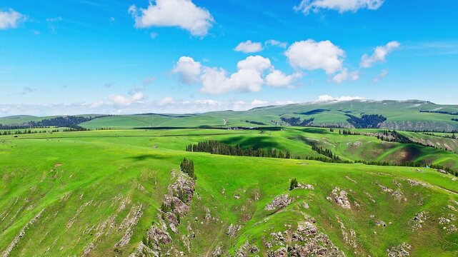 Aerial view of vibrant green meadows with cloud shadows and distant mountains under a blue sky, Kalajun Grassland, Ili, Xinjiang, China.
