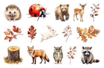 Obraz premium PNG Cute woodland animals and autumn leaves illustration, transparent background