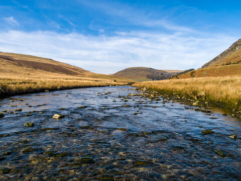 Clear stream flows through golden grasslands