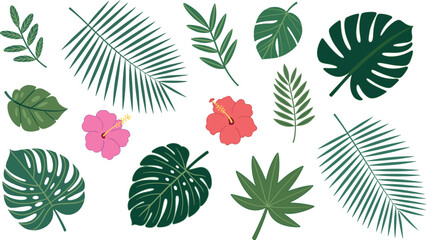Fototapeta premium Tropical leaves and hibiscus flowers vector illustration collection featuring monstera palm fronds and botanical elements