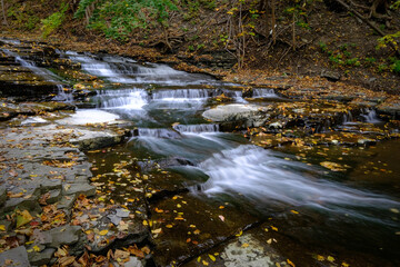 soft waterfall in autumn forest © P Wood