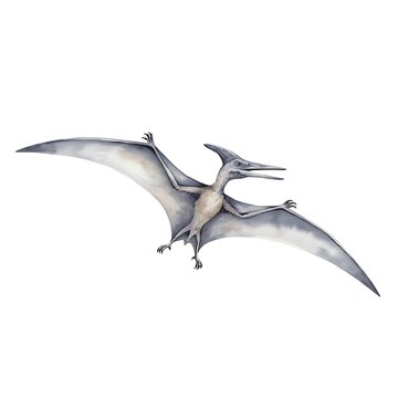 Pteranodon flying with wings spread. Ancient reptile soaring. Dinosaur model.
