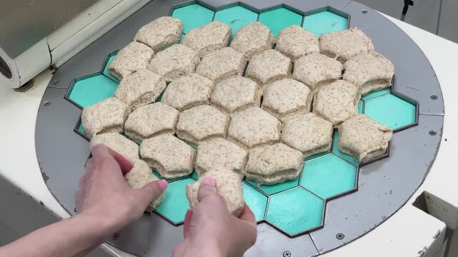 Raw yeast dough products before entering the oven. Pastry rest during the final proofing stage, showcasing professional bakery production and traditional bread making process. Hands of baker 
