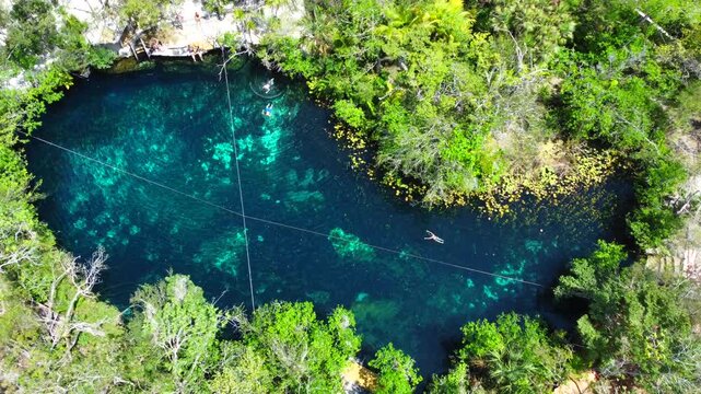Aerial top view emphasizing the nearly circular cenote bordered by lush vegetation in Cenote Angelita, Quintana Roo, Mexico.