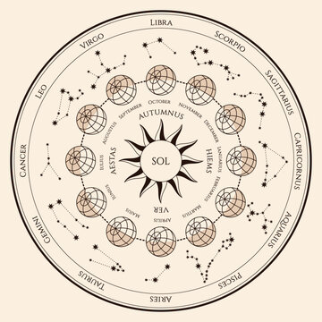 Pie chart of zodiac signs and constellations. Vintage astronomical map.