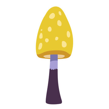 Tall yellow bonnet mushroom vector illustration isolated on white background
