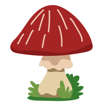 Red cap mushroom with stem vector illustration isolated on white background