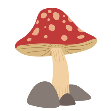 Red mushroom with rocks and grass vector illustration isolated on white background