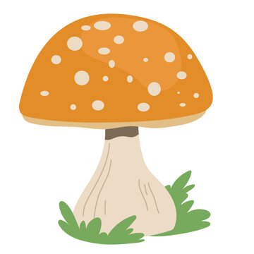 Orange spotted fly agaric toadstool vector illustration isolated on white background