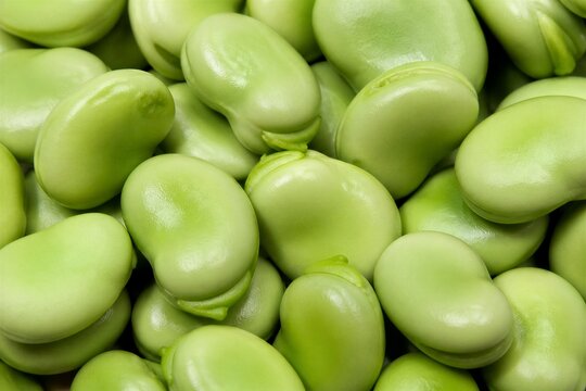 Fresh green fava beans close up full frame background