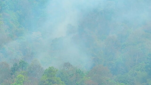High altitude view of forest affected by wildfire smoke, illustrating climate crisis, air pollution, habitat vulnerability, and the importance of sustainable ecosystem protection. 4k.
