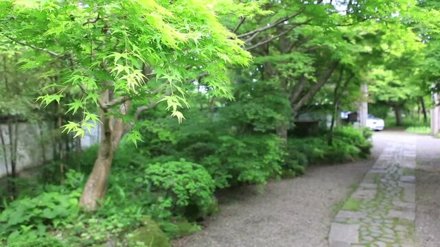 旧家の庭