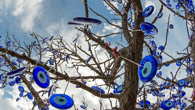 Blue Evil Eye Amulets Hanging on Tree in Cappadocia