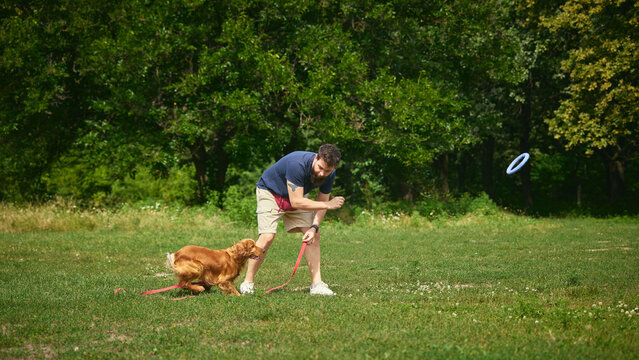 Young man encouraging dog to chase flying ring during outdoor play. Concept of joyful fetch game, pet energy release, human canine recreation.