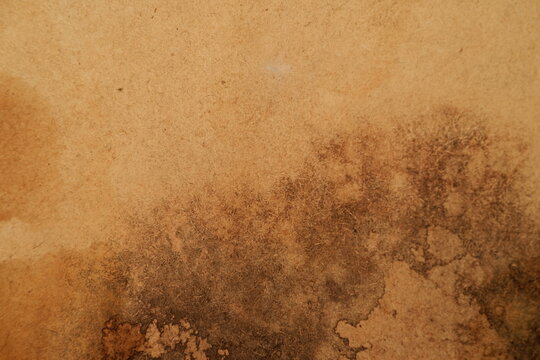 Brown Parchment Paper Background Concept for Design and Craft