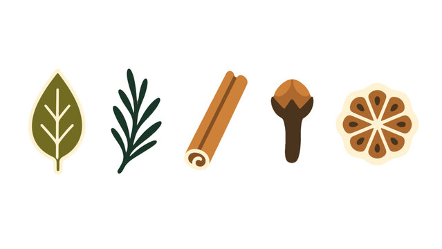 Flat vector set of herbs and spice ingredients on white