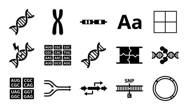 Genetics and molecular biology vector icons with dna strand, chromosome and sequence codons for scientific presentation in solid glyph style