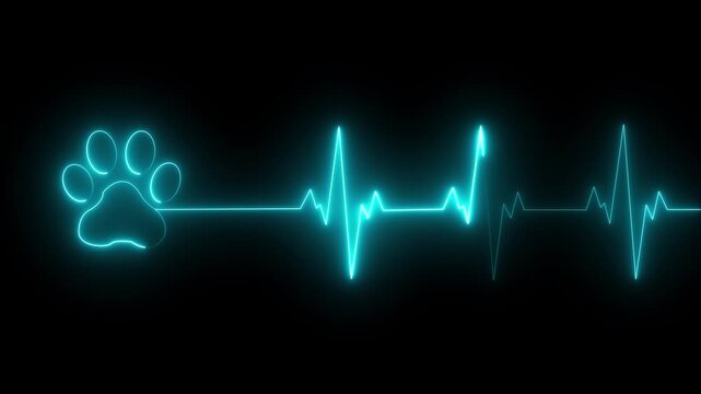 glowing neon Dog Paw Print Heartbeat Line icon Veterinary Healthcare ECG. Heartbeat icon with Paw Print Symbolizing Animal Health and Care. representing dedication in veterinary care and commitment.4k