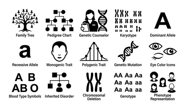 genetics and heredity design icons with family tree pedigree chart and dna strand for medical infographic in minimal glyph style