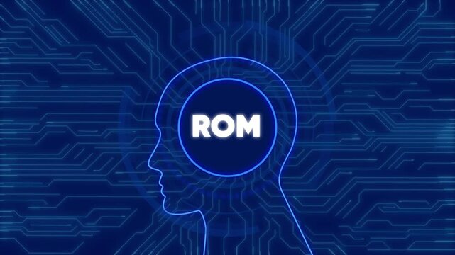 Rom memory concept: digital human head silhouette with circuit board background animation