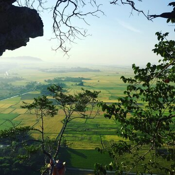 view of paddy field from the top hill - Bukit Mok Cun, Kodiang