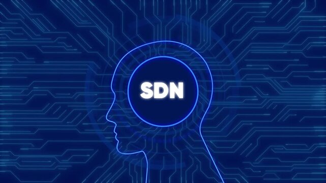 Sdn software defined networking concept with digital human head and circuit board