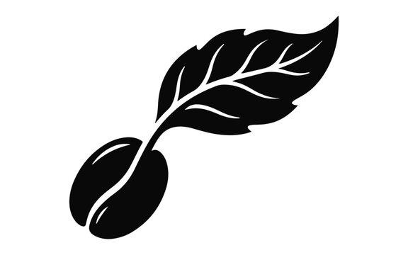 Minimalist black silhouette of a single coffee bean with a fresh green leaf isolated on white background