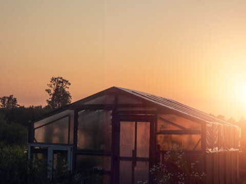 Greenhouse at sunset with warm orange sky. Transparent roof and walls allow light to pass. Trees and foliage surround the structure. Calm and cool summer hazy evening mood and feel.