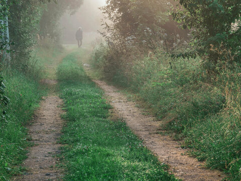 Silhouette of a person walks alone on dirt path through foggy forest. Green wet grass lines both sides of trail. Trees and bushes surround narrow pathway. Mist creates soft, hazy and scary atmosphere.