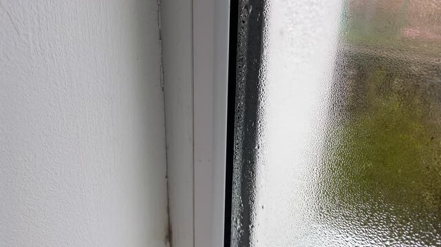 Black mold growing on window frame with condensation caused by indoor humidity. 4k