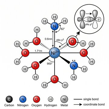 Molecular structure of a nickel(II) coordination complex, featuring water and ammonia ligands, precise bond lengths, angles, and central metal ion orbital hybridization
