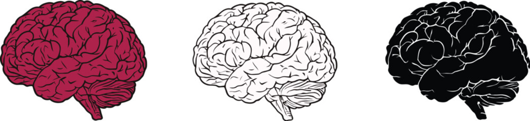 Obraz premium Brain vector icon set featuring human anatomy organ illustrations