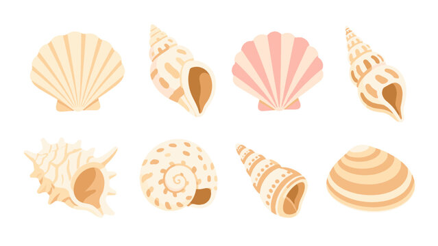 Set of pastel seashell illustrations isolated on white background