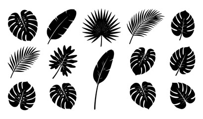 Tropical Palm and Banana Leaf Silhouette Vector Collection © Romjan 