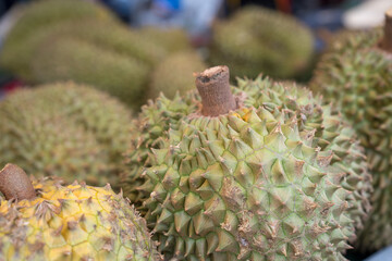 Group of fresh durians in the durian market. Durian is the king of fruit © Dontree